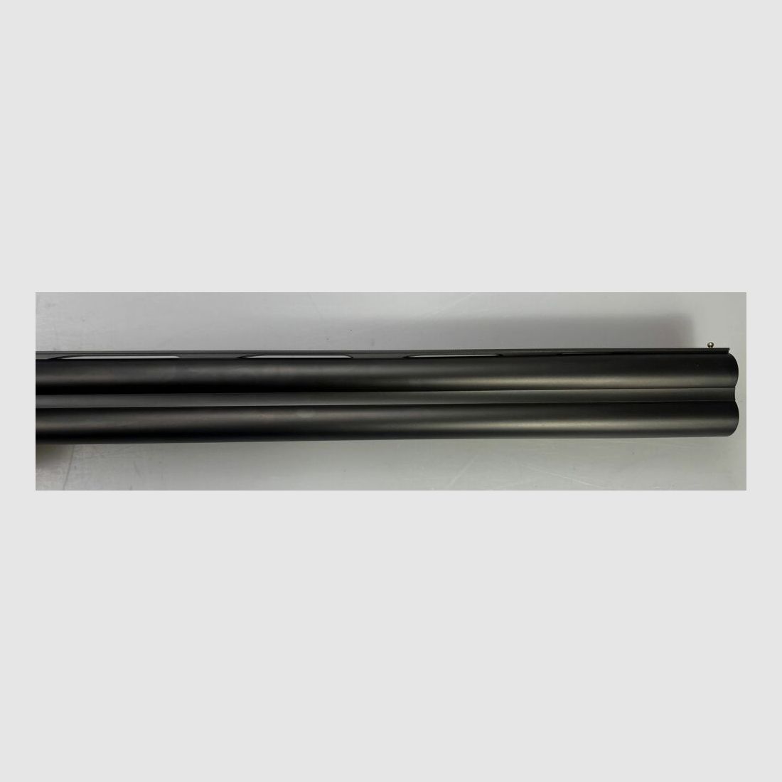 Blaser F16 Game