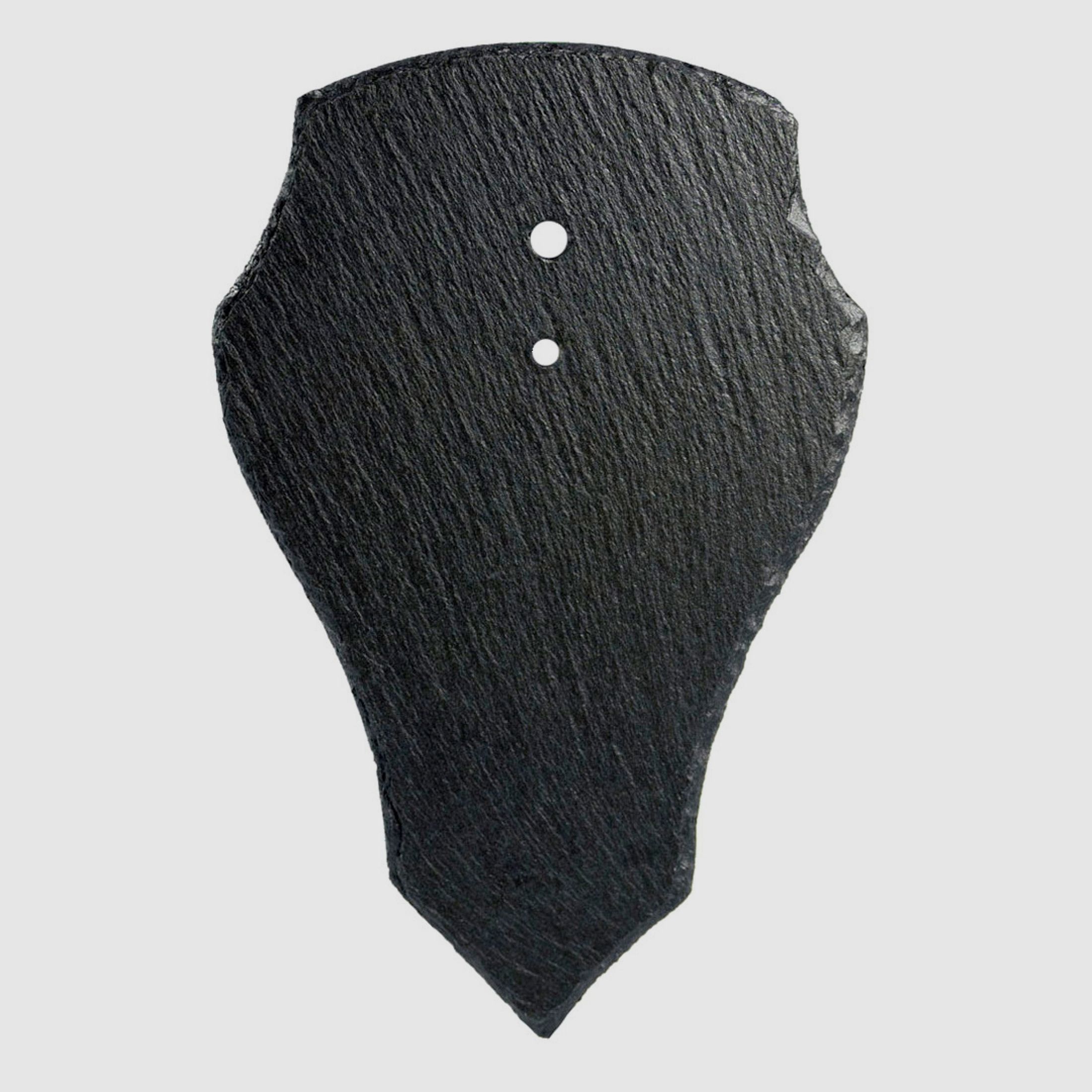 Trophystone trofee leisteen ree