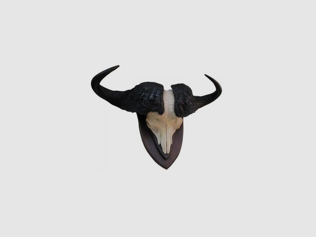 Buffalo Trophy 01
