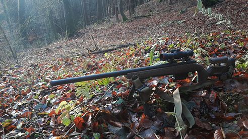 BERGARA B14 HMR