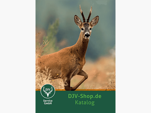 DJV-Service Katalog