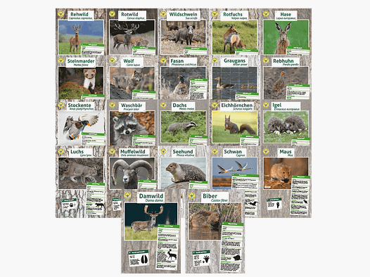 Tierposter im Format DIN A4 (Satz mit 22 Stück)