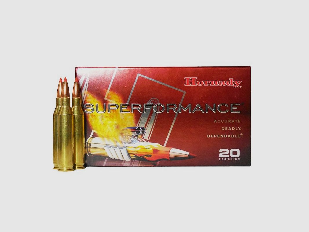 HORNADY 243Win 95GR SST