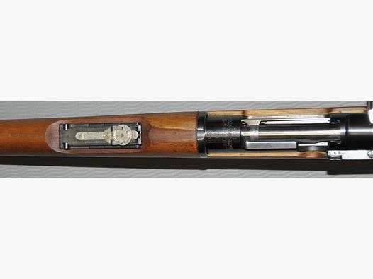 Carl Gustafs M 96