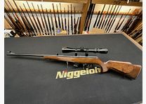 Anschütz .22lr
