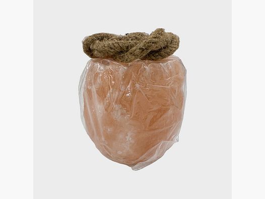 Fritzmann – Sale minerale
