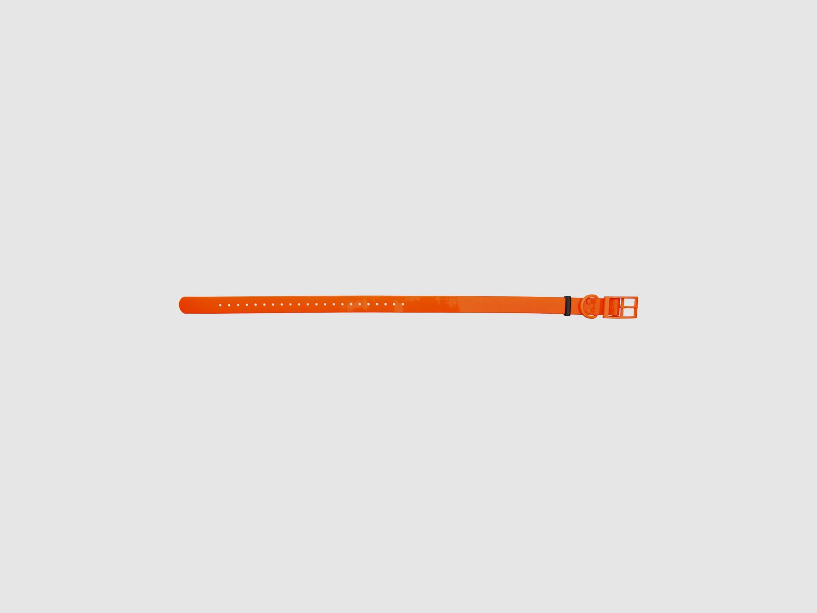 HP&G Dog Collar 25mm Orange