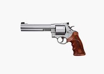 Smith & Wesson M-629 Classic Champion