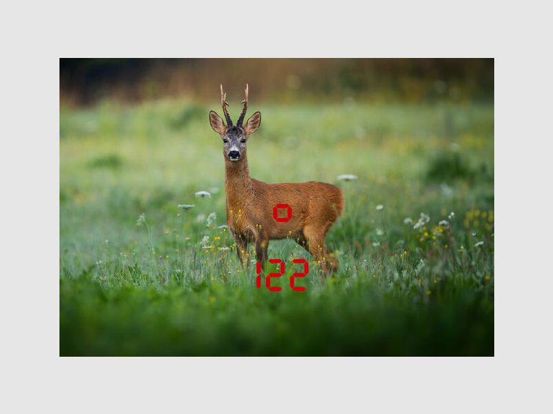 Lornetka Leica Geovid Pro 10x42 AB+, zdjęcie 2 z 4
