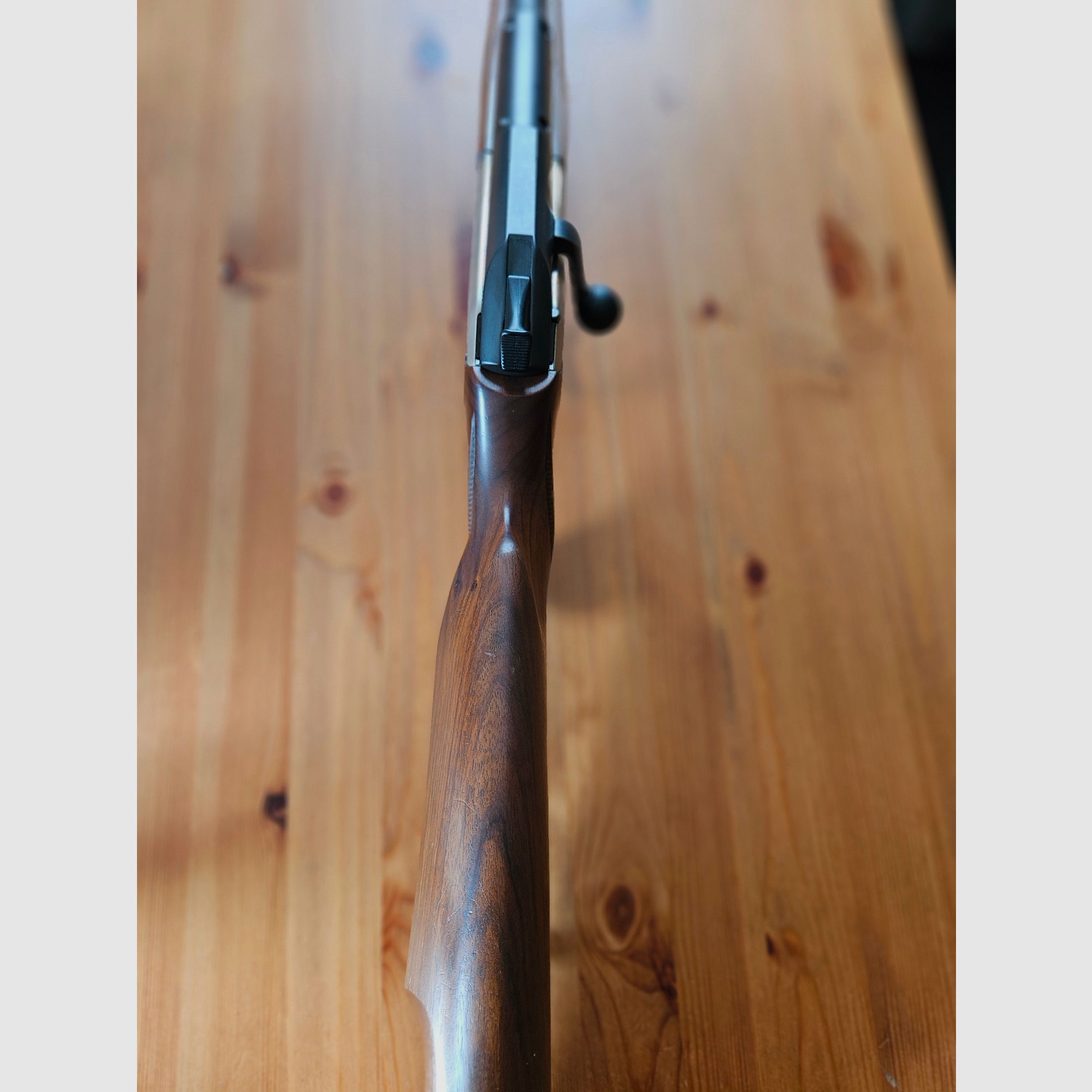 Blaser R93 30-06