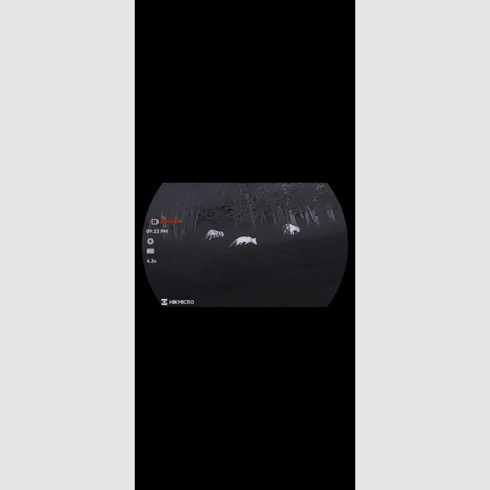 Hikmicro Habrok 4K HE25L 2.0 visor térmica, imagen 7 de 8