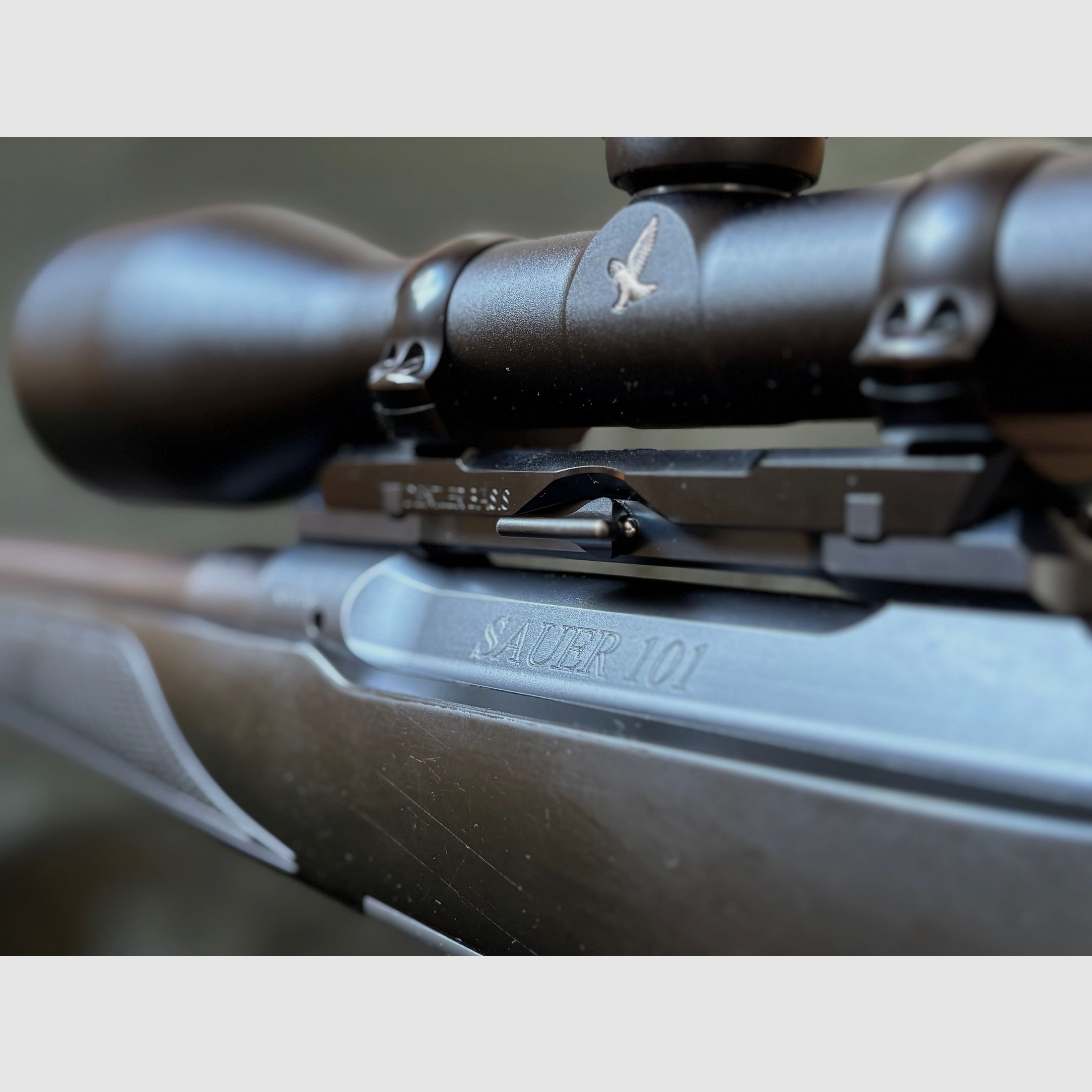 Sauer 101 incl. base di montaggio Dentler / .30-06