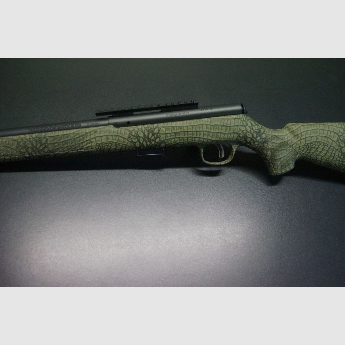 Savage Arms FV-SR, Bild 5 von 5