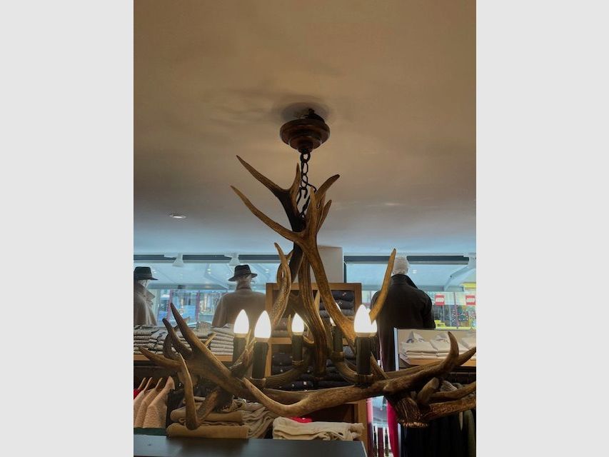 Lampe aus Hirschhorn, Bild 1 von 4