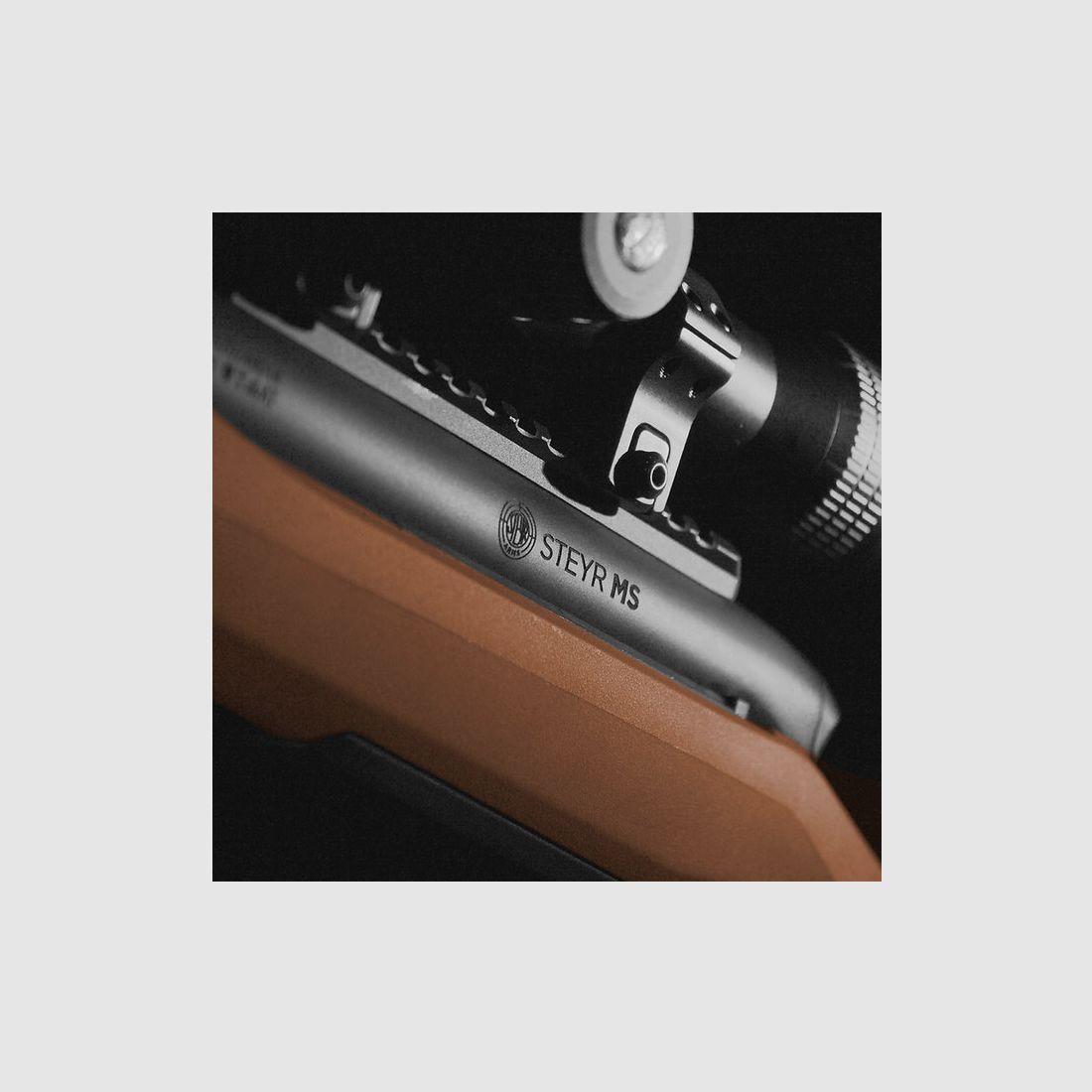 STEYR MS Wild coyote repeater