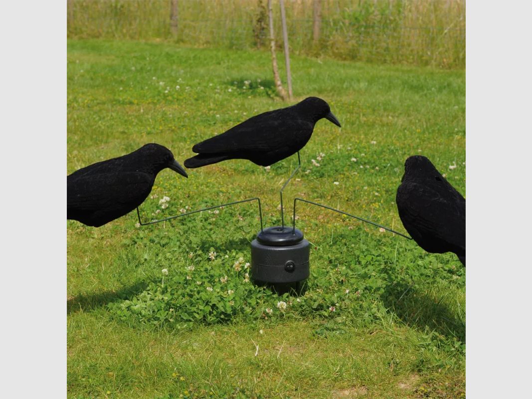 Manège für Krähen + 3 geflockte Krähen, Bild 1 von 6