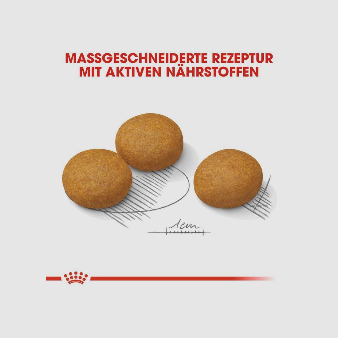 ROYAL CANIN Große Hunde Trockenfutter Dermacomfort Maxi für empfindliche Haut