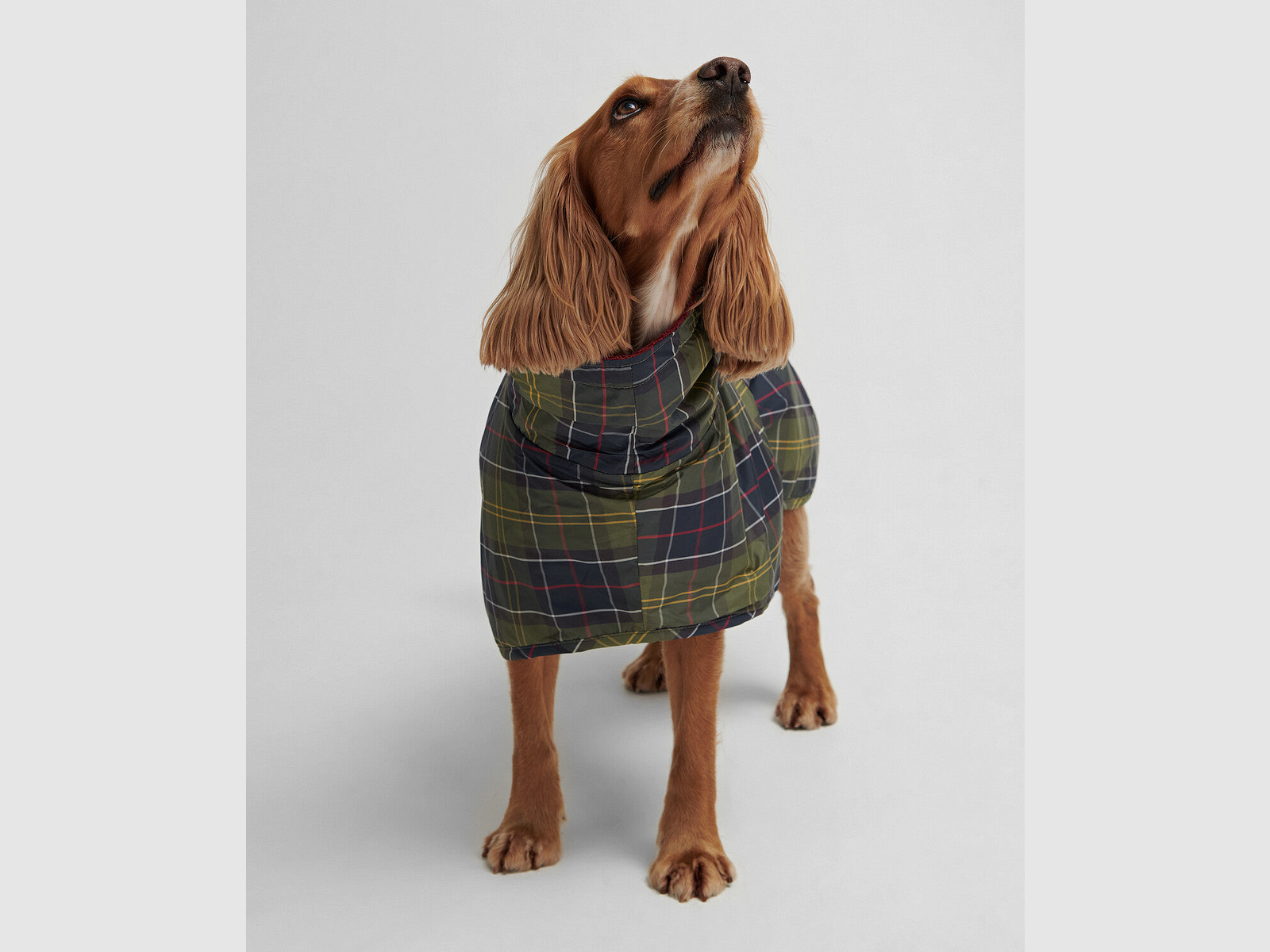 Barbour Tartan Dog Drying Hundemantel