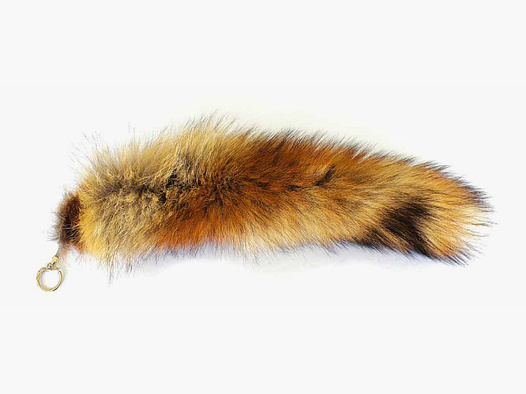 Actual fox tail