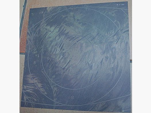 Miroir DJV cible de chasse n°2 - sanglier debout (ancienne version)