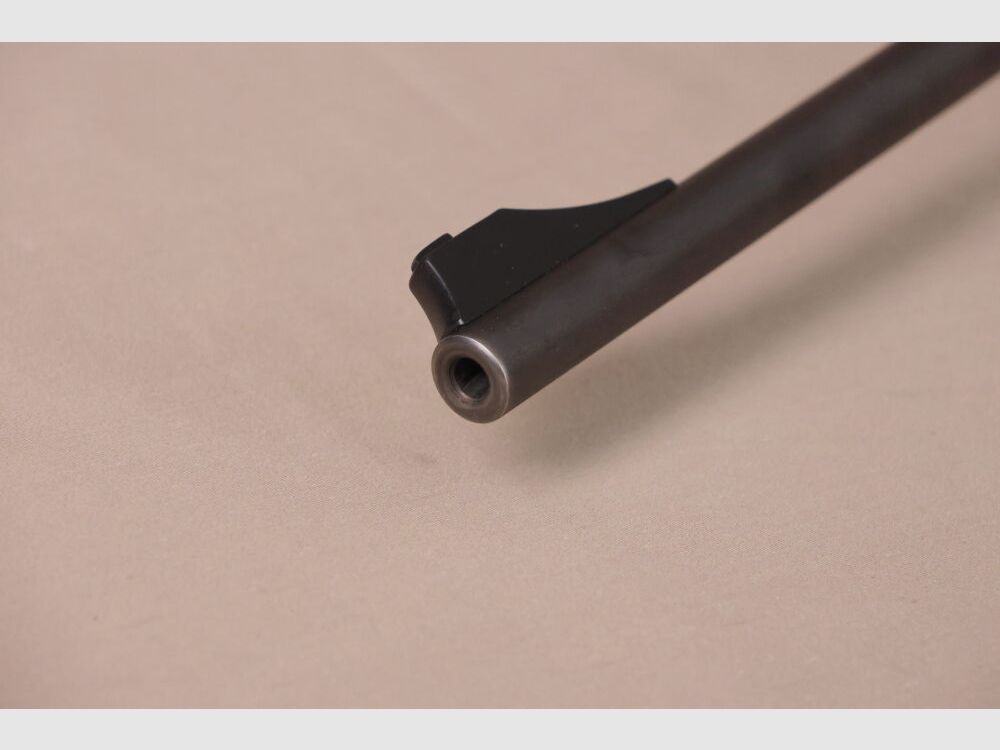 Blaser R93 // Wood // Swarovski with Red Dot!!!