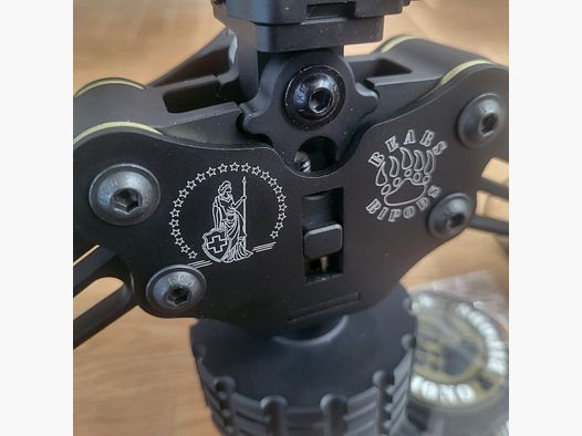 Dein Logo auf dem Zweibein