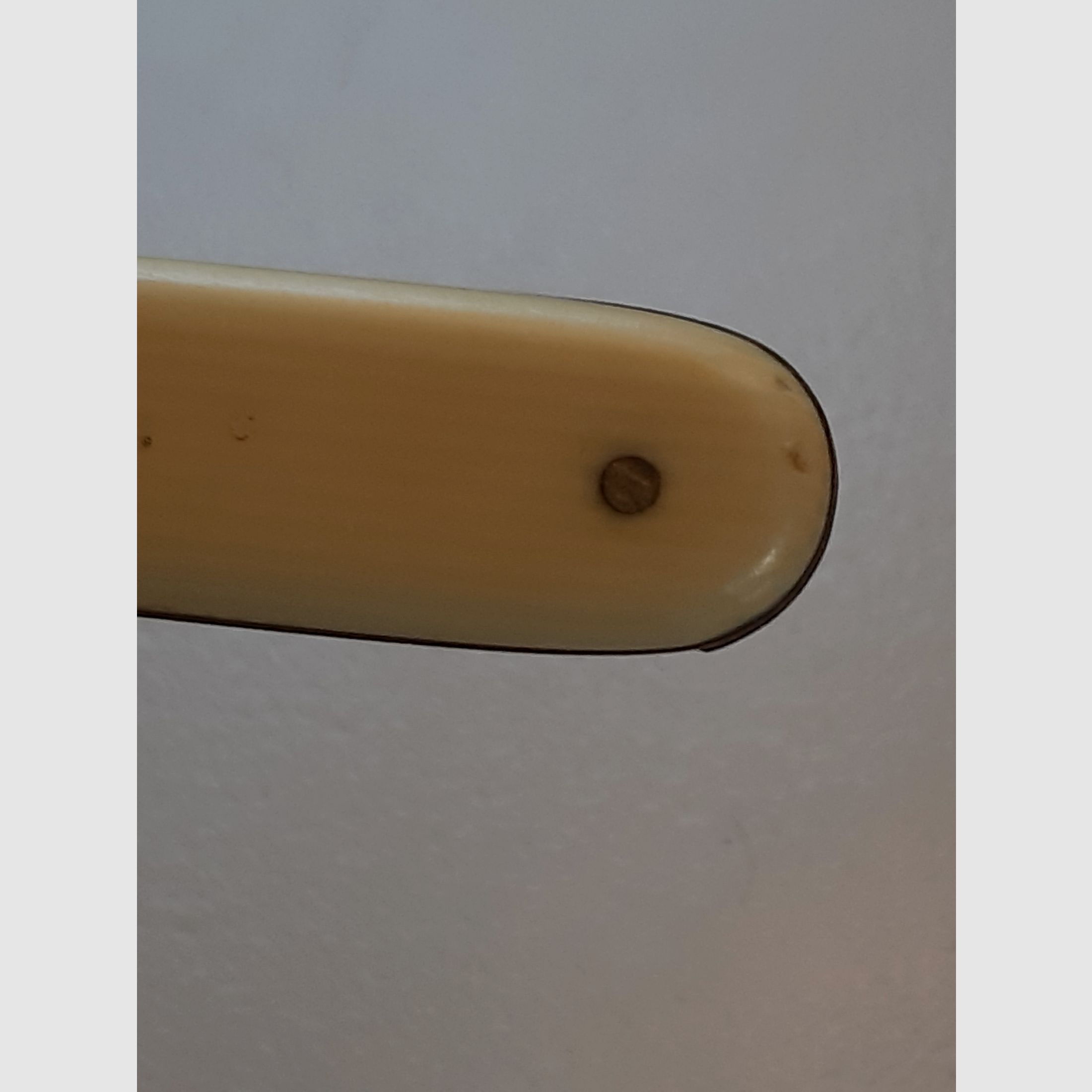   SAMMELOBJEKT  ?  Taschenmesser  ca, 60 - 70 Jahre  jung