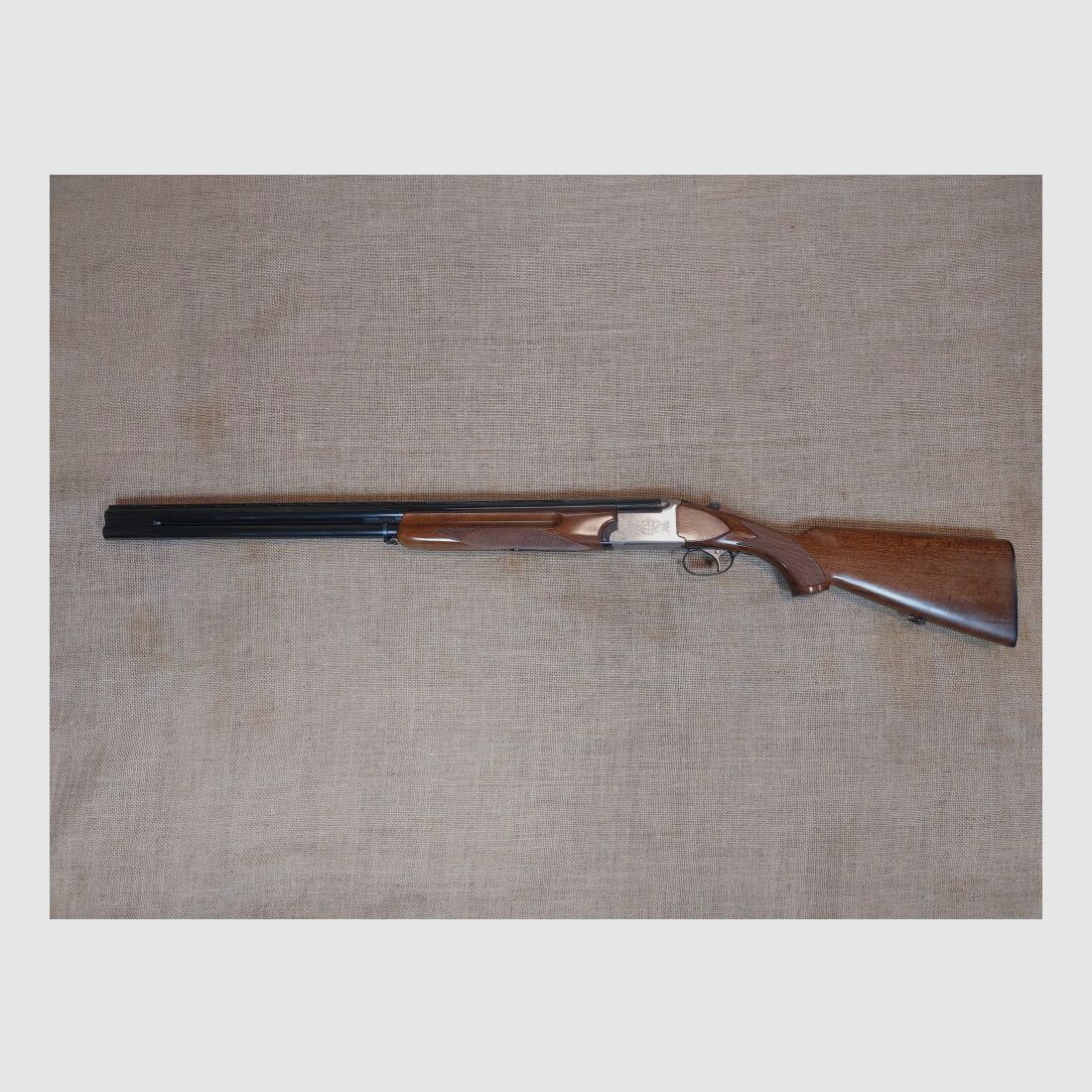 Franchi, Italia Alcione