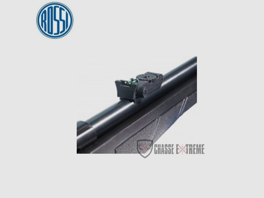 Carabine ROSSI 8117 Cal 17 Hmr, image 3 sur 4