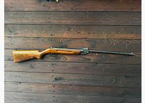 Opas altes Luftgewehr Wagria 