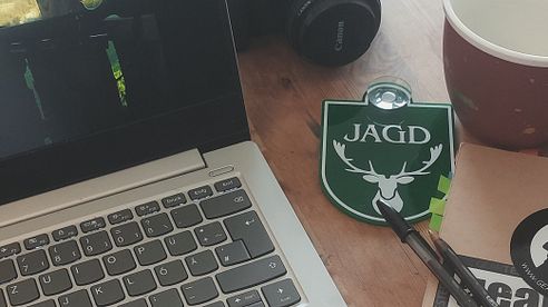 Von null auf Jagd: So findest du deine erste Jagdgelegenheit