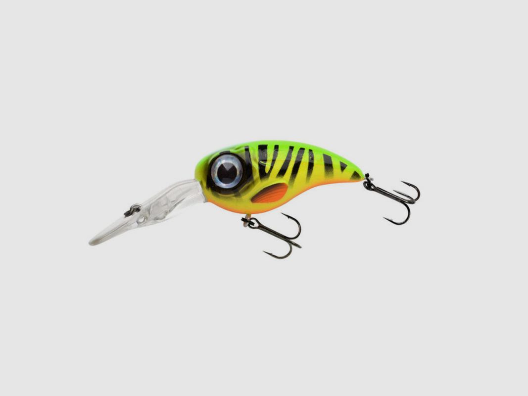 FAT IRIS 40 DR