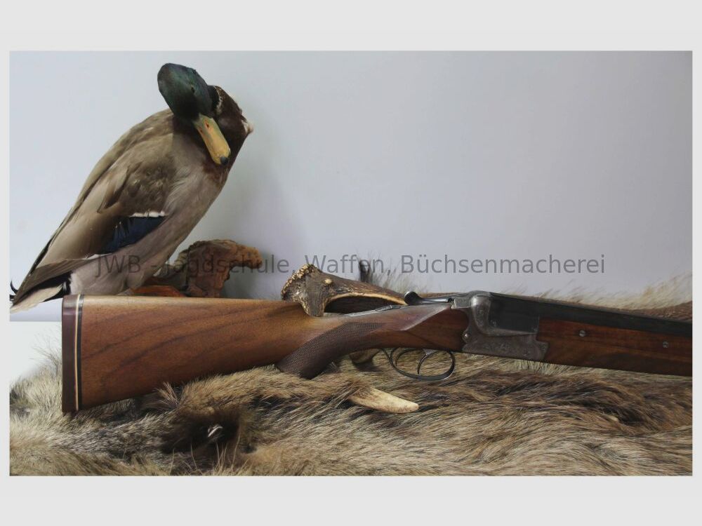 Führige und leichte Merkel Flinte 16/70