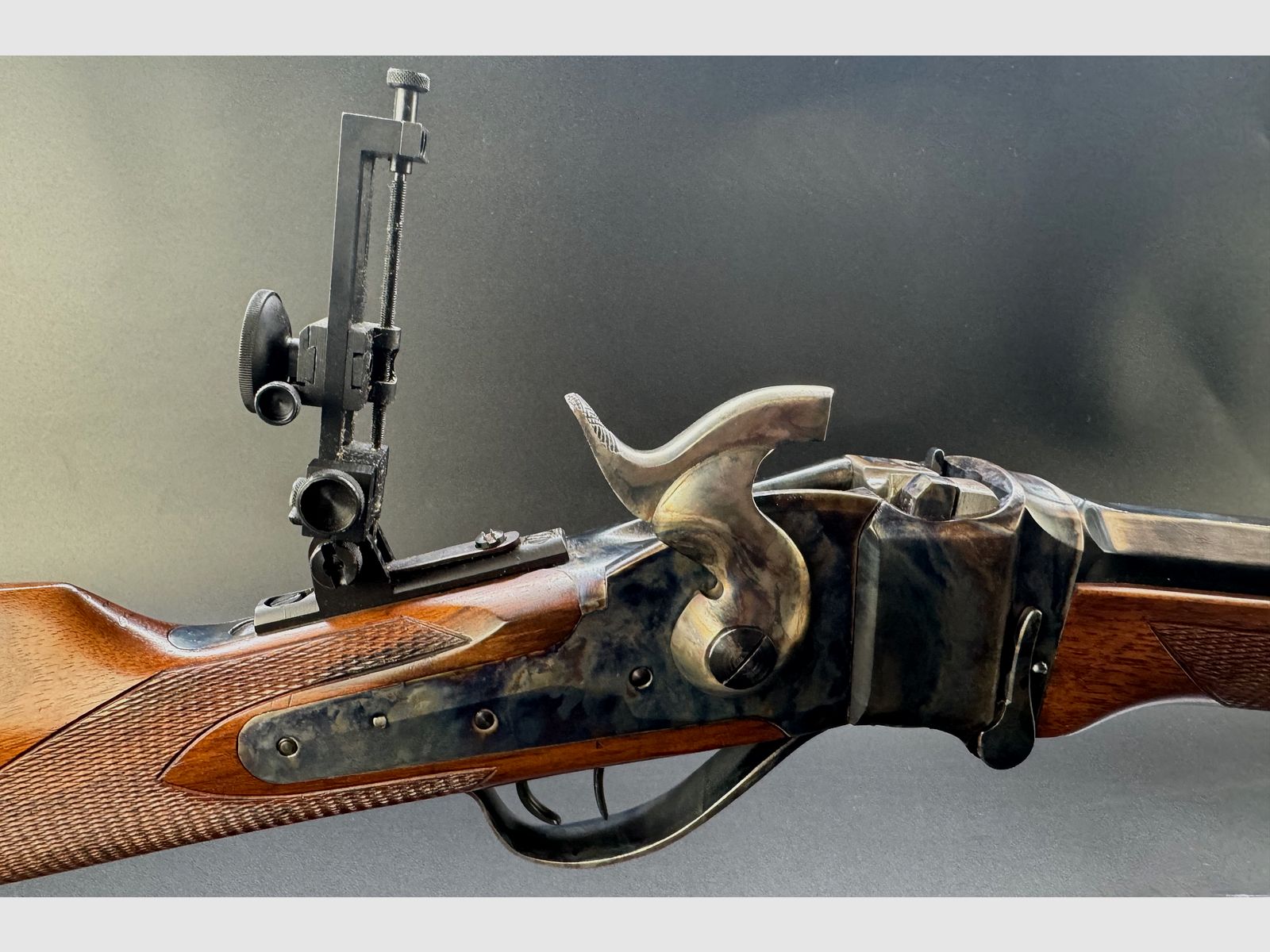 Davide Pedersoli Sharps Sporting Rifle Model 1874 Kal.: 45-70 met diopter