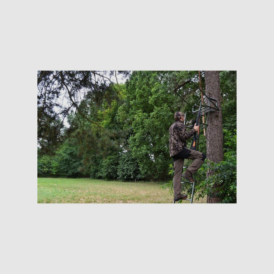 Farm-Land Ansitzleiter Wiesenblick im SPARSET a 3 Stk