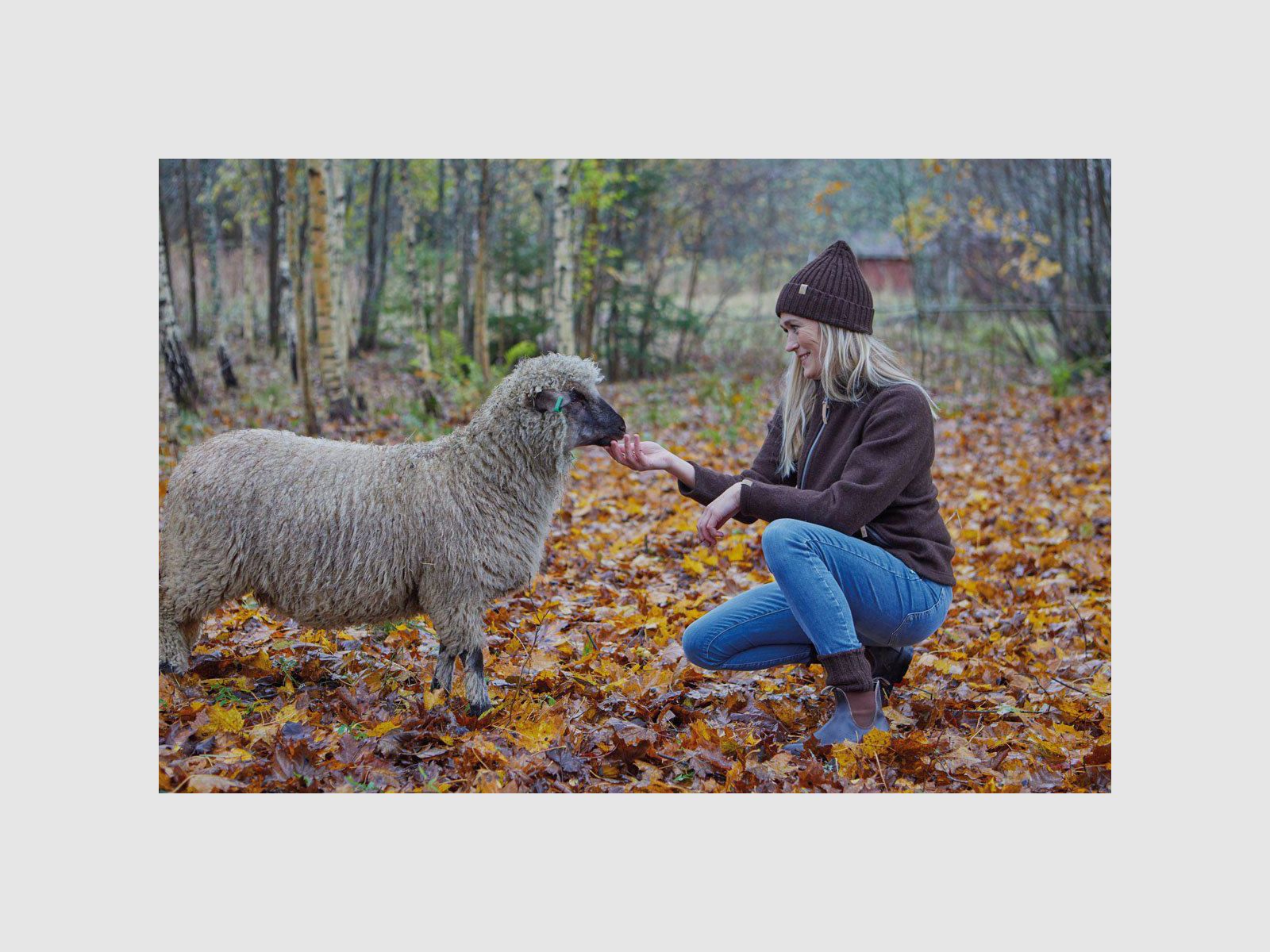 IVANHOE NLS TWIG Full Zip Birch