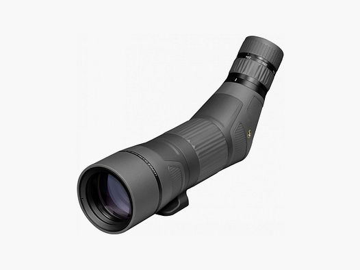 LEUPOLD SX-4 Pro Guide HD GEN 2 20-60x85mm – inclinato