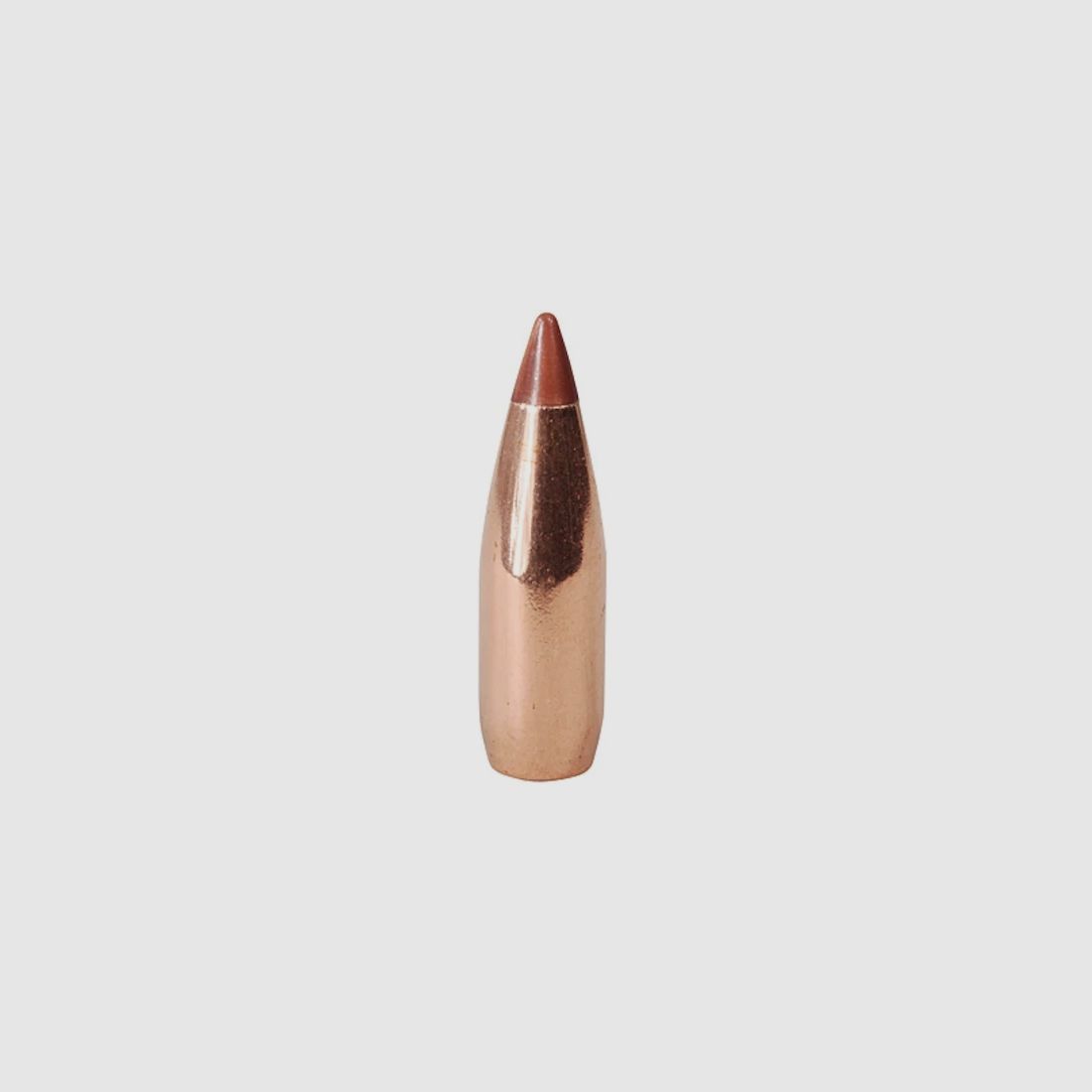 Hornady Geschoss .20/.204 NTX VARMINT 30GR 100 Stück