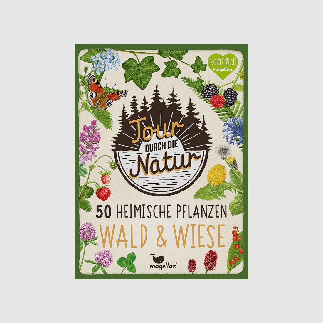 Spiel "Tour durch die Natur - Wald und Wiese"