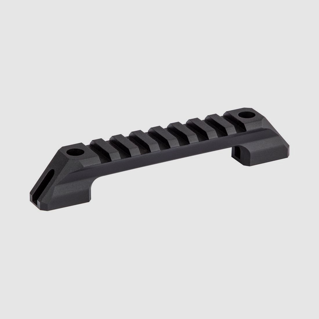 Walther Picatinny Schiene