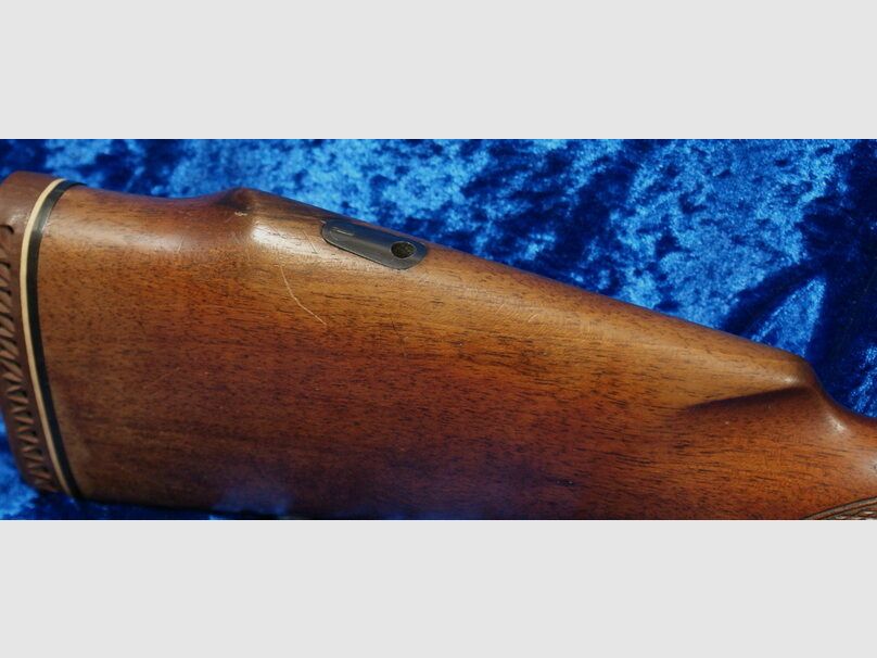 Steyr S