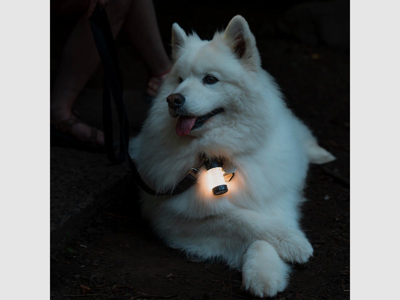 Ledlenser Lantaarn ML4 Warm Licht
