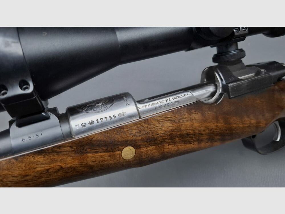 DWM Custom Mauser 98 Repetier