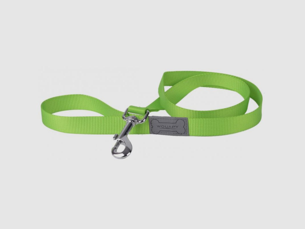 Wouapy Hundeleine Basic Line 15mm x 12cm Grün