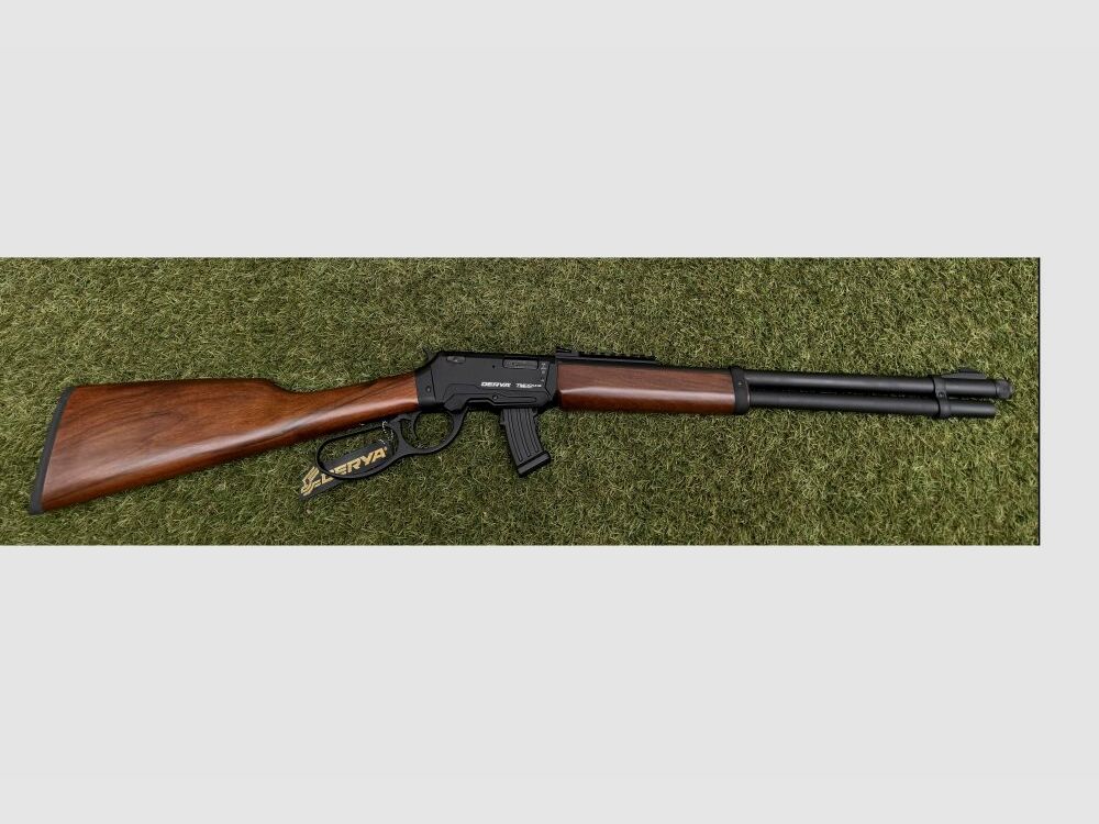 DERYA TM22 .22lr