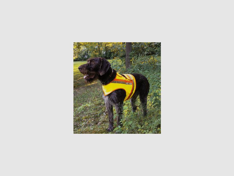 Sicherheitsweste für Hunde