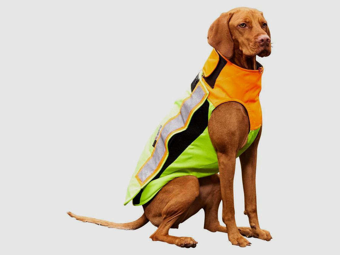Hunde-Schutzweste