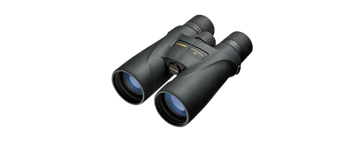 Nikon Fernglas Monarch 5 8x56