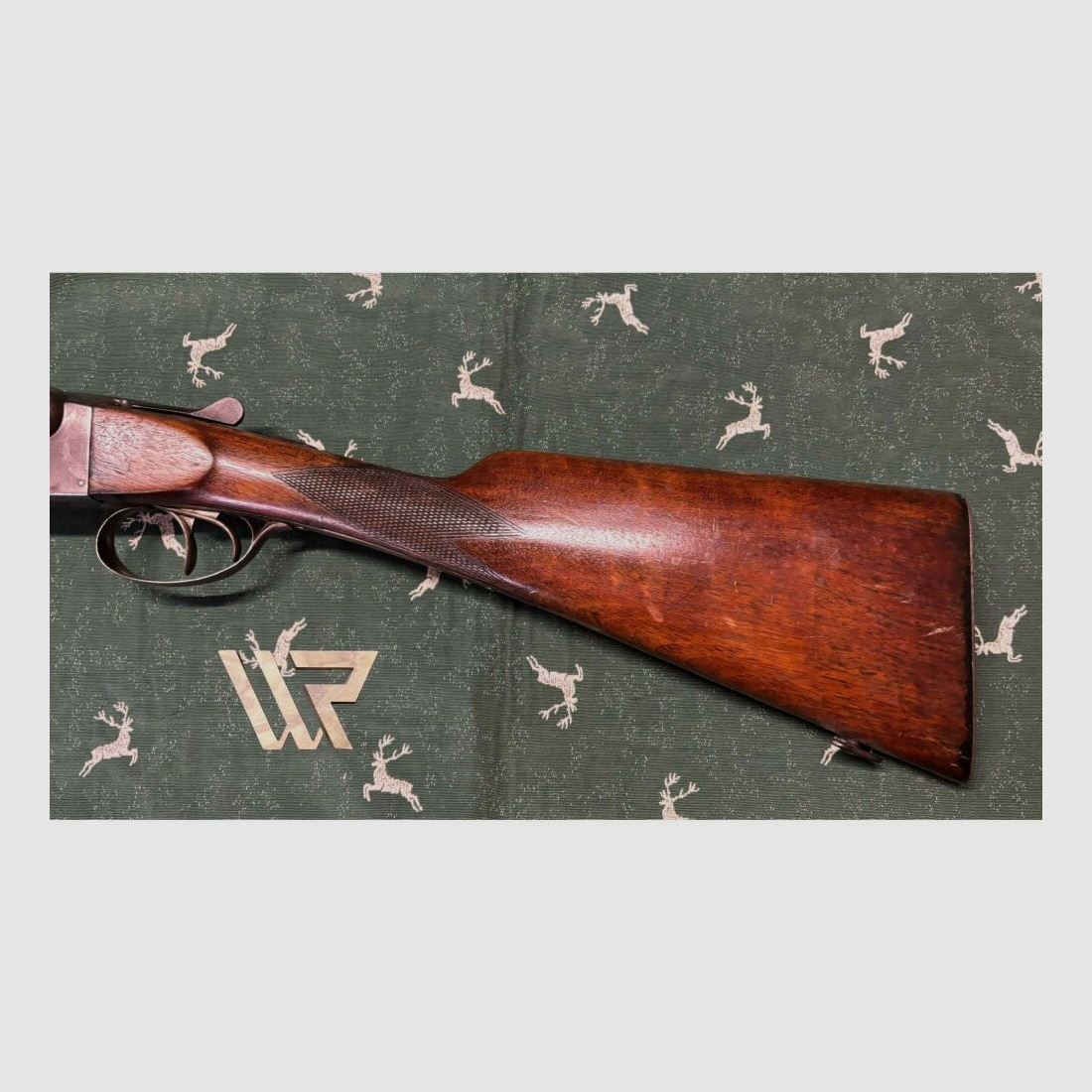 Fosil Robust Brevek - 12/65