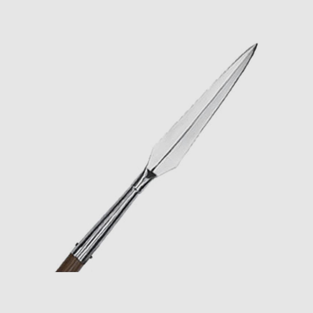 Spearhead Roman Long Spear